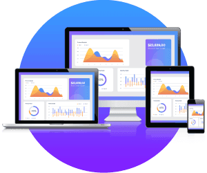 Proyecto NetSuite